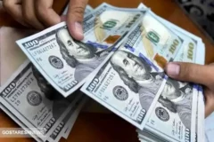 تک نرخی شدن قیمت دلار در دستور کار | قیمت کالاها نجومی می شود؟