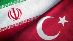 افزایش پروازهای مستقیم ایران و تونس در دستور کار