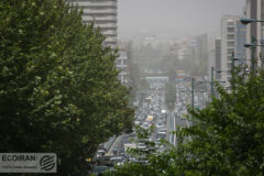خبر خوش برای پایتخت‌نشینان؛ بارش باران و وزش باد در تهران