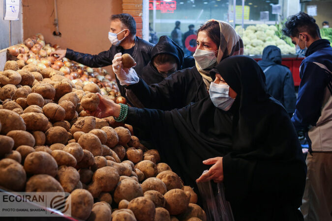 از کجا سیب زمینی ارزان بخریم ؟/ کمبود سیب زمینی نداریم وفور محصول در میادین تهران از کجا سیب زمینی ارزان بخریم ؟/ کمبود سیب زمینی نداریم وفور محصول در میادین تهران