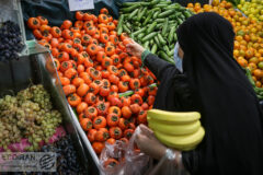 توت‌فرنگی، گوجه سبز و چغاله بادام را ارزان بخرید
