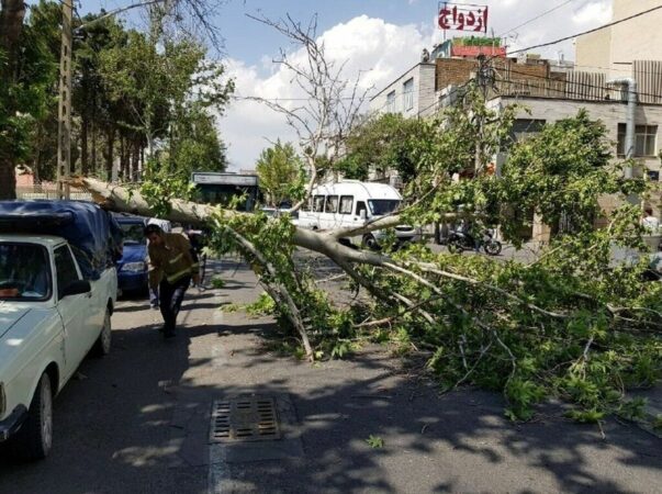 هشدار زرد هواشناسی: تهران در معرض بادهای شدید هشدار زرد هواشناسی: تهران در معرض بادهای شدید