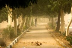 هشدار نارنجی در تهران/ طوفان، گرد و خاک و وزش باد شدید در راه است