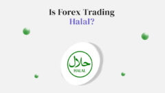ایا ترید در فارکس حلال است؟