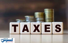 جزئیات جدید از درآمد مالیاتی دولت | چه کسانی بیشتر مالیات دادند؟