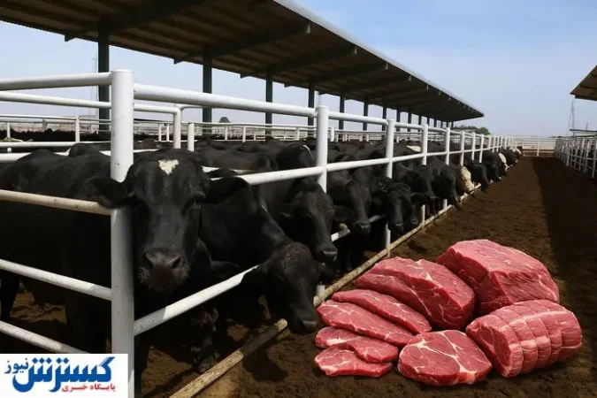 جنجال بر سر گوشت پاکستانی و قزاقستانی | دامدار ایرانی قربانی شد جنجال بر سر گوشت پاکستانی و قزاقستانی | دامدار ایرانی قربانی شد