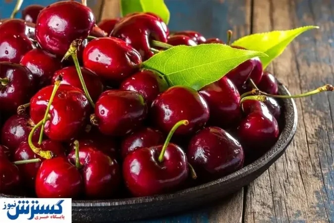 قیمت گیلاس کنترل شد | اوضاع بازار تغییر کرد قیمت گیلاس کنترل شد | اوضاع بازار تغییر کرد