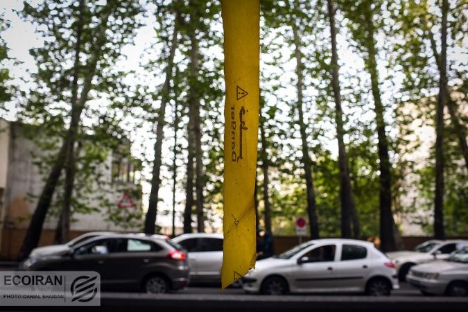 محدودیت های ترافیکی ۲۸ صفر اعلام شد