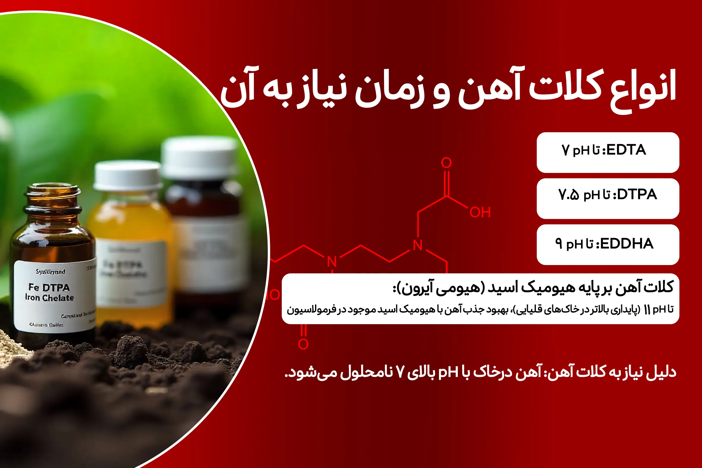 کلات آهن یا هیومیک اسید؟ مقایسه قیمت و کارایی برای انتخاب هوشمندانه انواع کلات آهن و زمان نیاز به آن