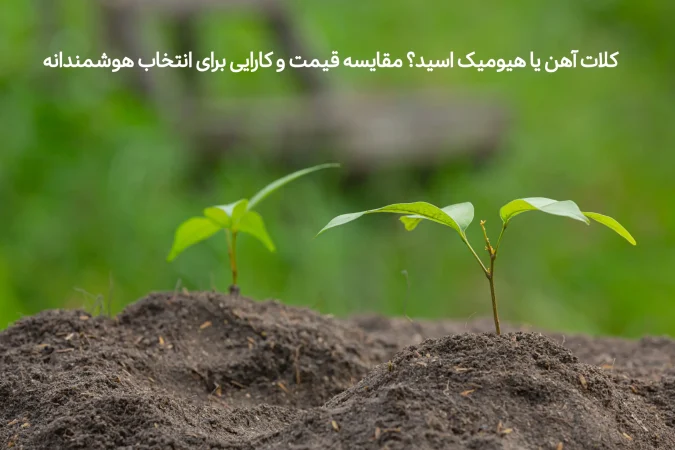 کلات آهن یا هیومیک اسید؟ مقایسه قیمت و کارایی برای انتخاب هوشمندانه