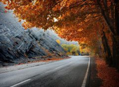 ۵ شهر مناسب برای سفر در پاییز که مقصدهای جذابی هستند