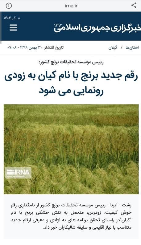 رونمایی از دو رقم برنج، که قبلاً رونمایی شده! کشاورزی ,