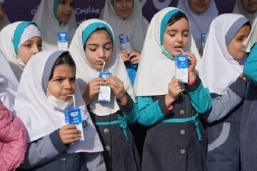 گرانی لبنیات، ترمز طرح توزیع شیر در مدارس را کشید