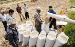 اندازه بازار جهانی ماشین آلات آسیاب برنج تا ۲۰۳۰ | ماشین آلات دست دوم؛ مانع گسترش بازار