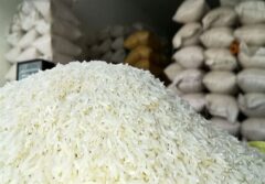 توزیع گسترده برنج ۱۲۹ هزار تومانی در بازار آغاز شد