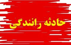 حادثه شبانه در جاده جنوب کشور / جزئیات انحراف خطرناک اتوبوس در جاده شیراز