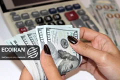 دلار تا کجا افزایشی خواهد بود؟ / پیش‌بینی مهم یک کارشناس اقتصادی