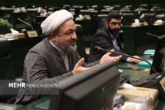 رسایی: مابه‌التفاوت قیمت واقعی و قیمت ترجیحی به مردم پرداخت شود