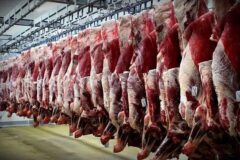 قیمت گوشت قرمز امروز ۲۶ آذر ۱۴۰۴ / سردست گوساله چند؟
