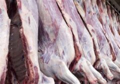 قیمت گوشت قرمز امروز ۳ دی ۱۴۰۴ / ماهیچه گوساله چند؟