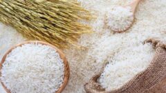 کاهش قیمت‌ها تا هفته آینده در پی توزیع گسترده برنج هندی