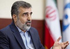 گزارش کمالوندی از صنعت هسته‌ای در کمیسیون امنیت ملی مجلس