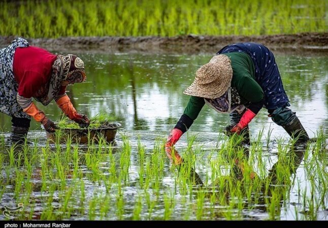 «نجات آب» ــ ۵۳ | آموزش زنان کشاورز در مناطق کم‌برخوردار