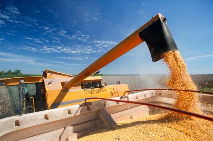 عرضه جهانی گندم به رکورد جدیدی رسید؛ پیش بینی افزایش ۶درصدی تولید جهانی غلات