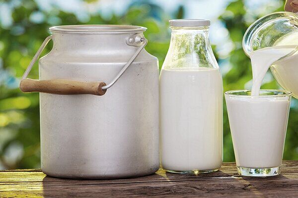 قیمت شیر نایلونی هم لاکچری شد!