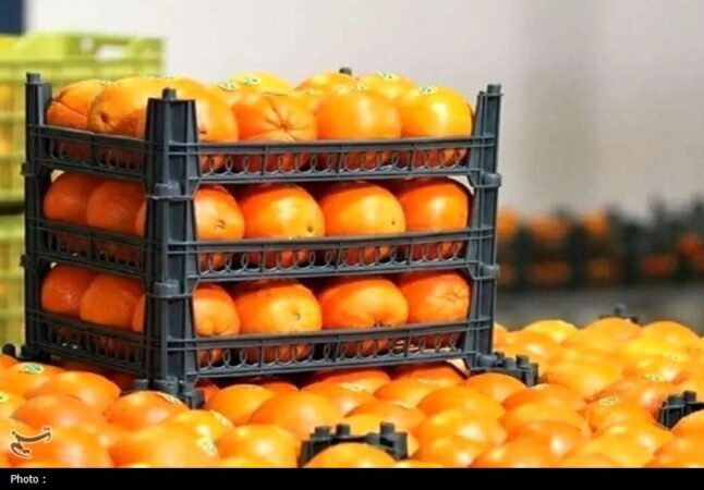 آغاز توزیع میوه ایام پایانی سال از امروز در تهران