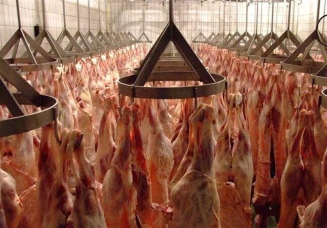 گوشت به وفور موجود است/ نیازی به استفاده از ذخایر استراتژیک نیست