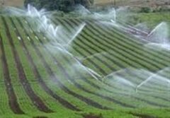 اعتبارات آب و خاک در بودجه امسال ۳ برابر افزایش یافت