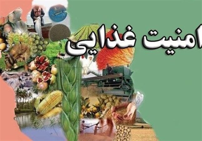 برنامه ۶ ماهه تامین امنیت غذایی برای جنگ یا آتش‌بس