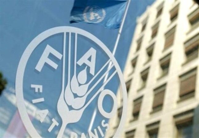 رشد ۲٫۴ درصدی قیمت جهانی غذا در یک ماهه جنگ آمریکا علیه ایران
