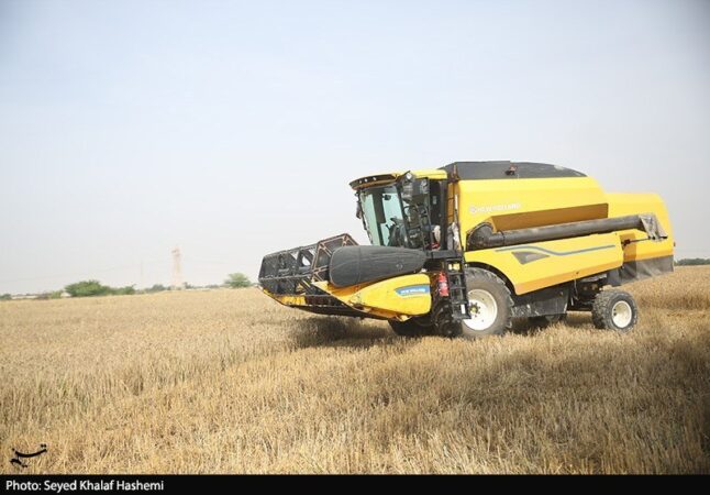 قیمت گندم ۵نرخی شد