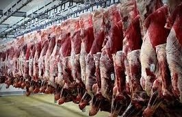 وضعیت امسال مراتع برای چرای دام عالی شد+ قیمت گوشت