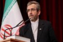 ارزیابی باقری از نشست مقامات بلندپایه امنیتی بریکس