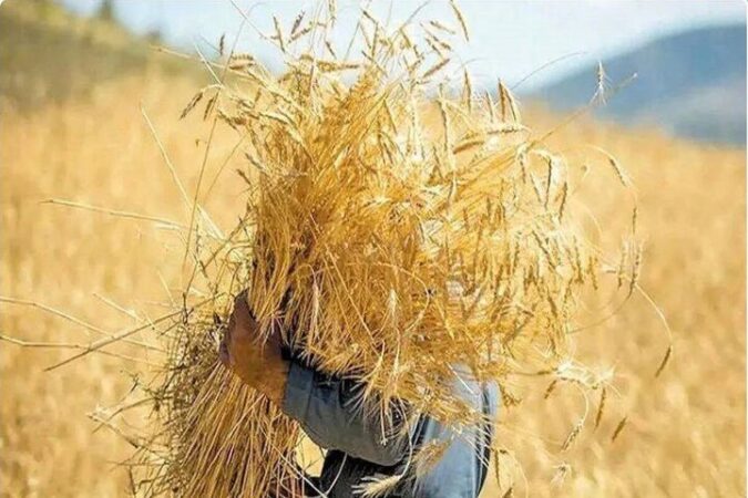 حکمرانی محلی و تاب‌آوری غذایی در شرایط جنگی