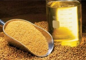 ثبت سفارش واردات روغن خام از ۱۰ تیر آغاز می‌شود