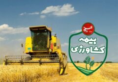پرداخت ۶٫۵ همت خسارت بیمه‌ای به کشاورزان