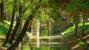 آخرین وضعیت حقابه زاینده‌رود / تأکید بر همکاری برای مدیریت آب