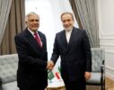 دیدار وزرای خارجه ایران و پاکستان