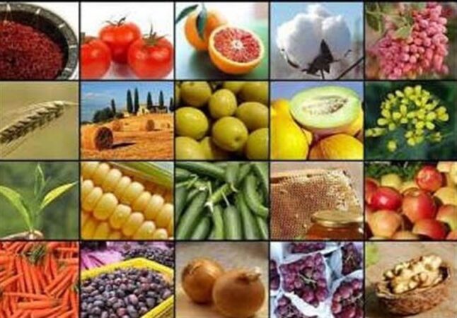 صادرات ۱۵ محصول کشاورزی آزاد شد+ جدول