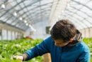 ببینید |۶۵ درصد مهندسان کشاورزی بیکارند یا شغل تخصصی ندارند
