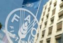 فائو هشدار داد: جهان با افزایش قیمت مواد غذایی مواجه است