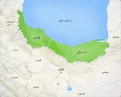 آگهی‌های وسوسه‌کننده زمین در شمال؛ کدام زمین‌ها واقعاً قابل ساخت‌اند؟
