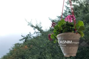 اجرای طرح توسعه گردشگری کشاورزی در ۱۲۸ روستا کلید خورد
